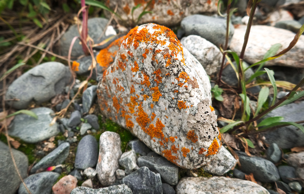 Egy szép kő