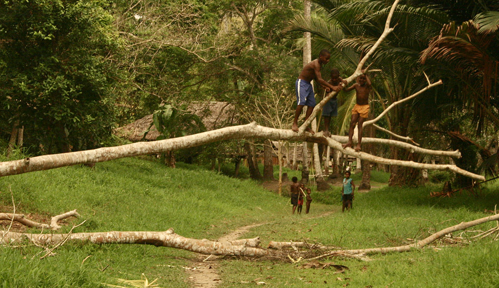 A gyerekek fára mászással ütik el az idejüket