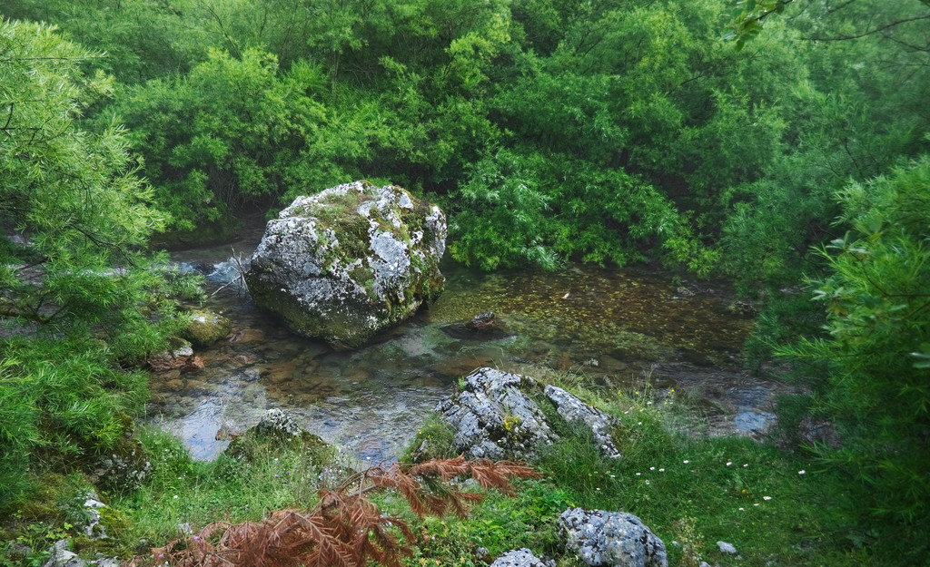 Kő a Skakavica folyóban