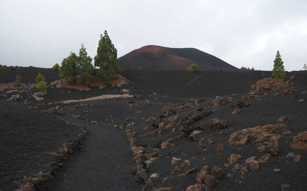 Fekete talaj és zöld fák mindenütt a Chinyero vulkán körül