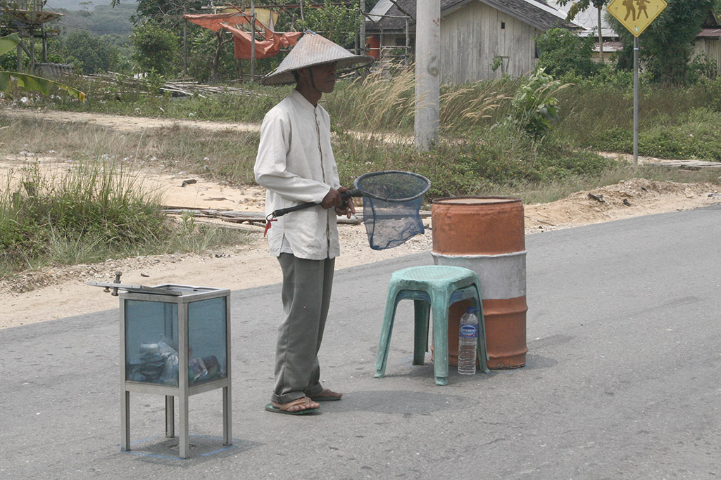 Az út közepén adományokat gyűjtő embernek a jármű megállása nélkül is a hálójába lehet dobni a pénzt